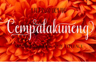 Cempalakuneng: A Modern Script Font for Editorial Design