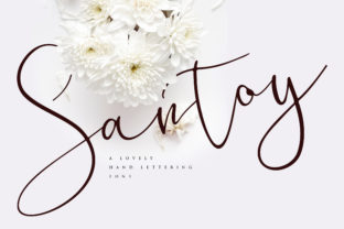 Santoy Font Review: A Bold Handwritten Typeface