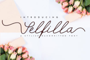 Selfilla: A Designer’s Take on Modern Script Charm