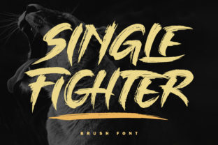 Single Fighter Typeface for Bold Editorial Design